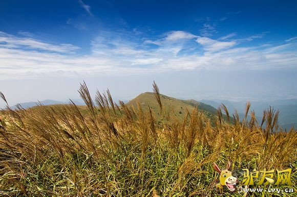 ��ݸ������ (6).jpg